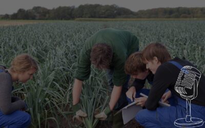 La production d’un podcast pour en savoir plus sur l’agriculture bretonne