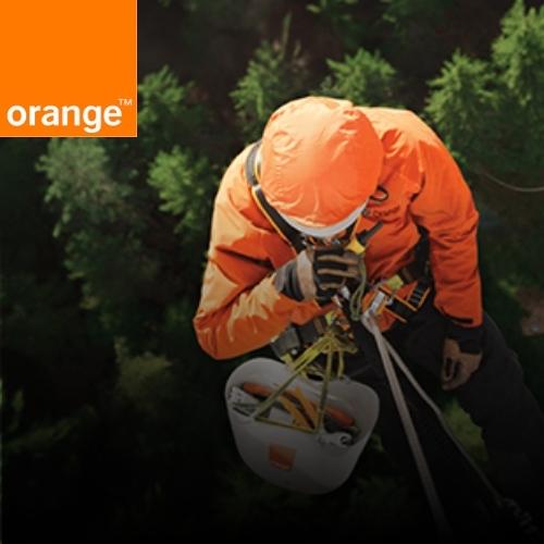 Orange